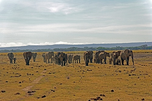 Kenia (136)